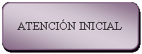 Rect�ngulo: esquinas redondeadas: ATENCI�N INICIAL